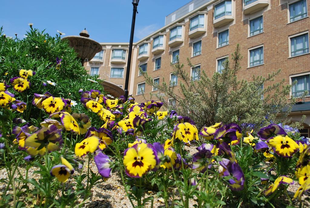 Royal Oak Hotel Spa & Gardens Otsu Exterior foto